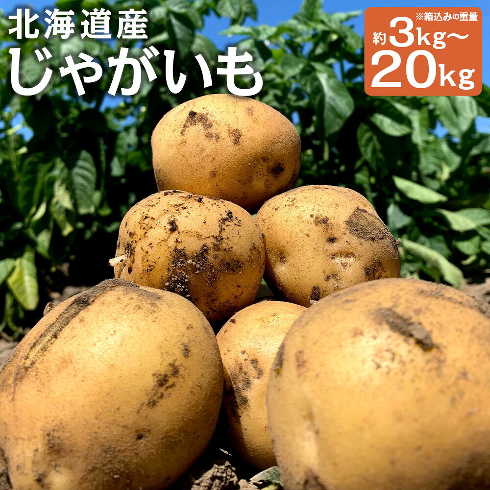 北海道産じゃがいも 男爵/キタアカリ 約3kg/約5kg/約10kg/約20kg 選べる種類 選べる内容量 M～2Lサイズ混載 じゃがいも芋 野菜 山田農場 京極町産 北海道産 国産 送料無料 【2026年9月下旬-2027年1月上旬迄発送予定】
