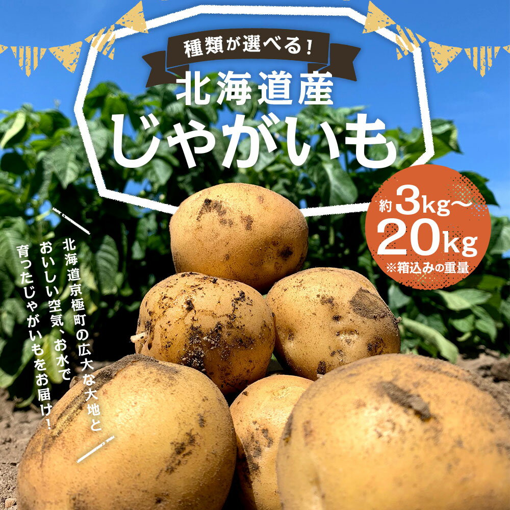 【ふるさと納税】北海道産じゃがいも 男爵/キタアカリ 約3kg/約5kg/約10kg/約20kg 選べる種類 選べる内容量 M～2Lサイズ混載 じゃがいも芋 野菜 山田農場 京極町産 北海道産 国産 送料無料 【2026年9月下旬-2027年1月上旬迄発送予定】 - 画像2