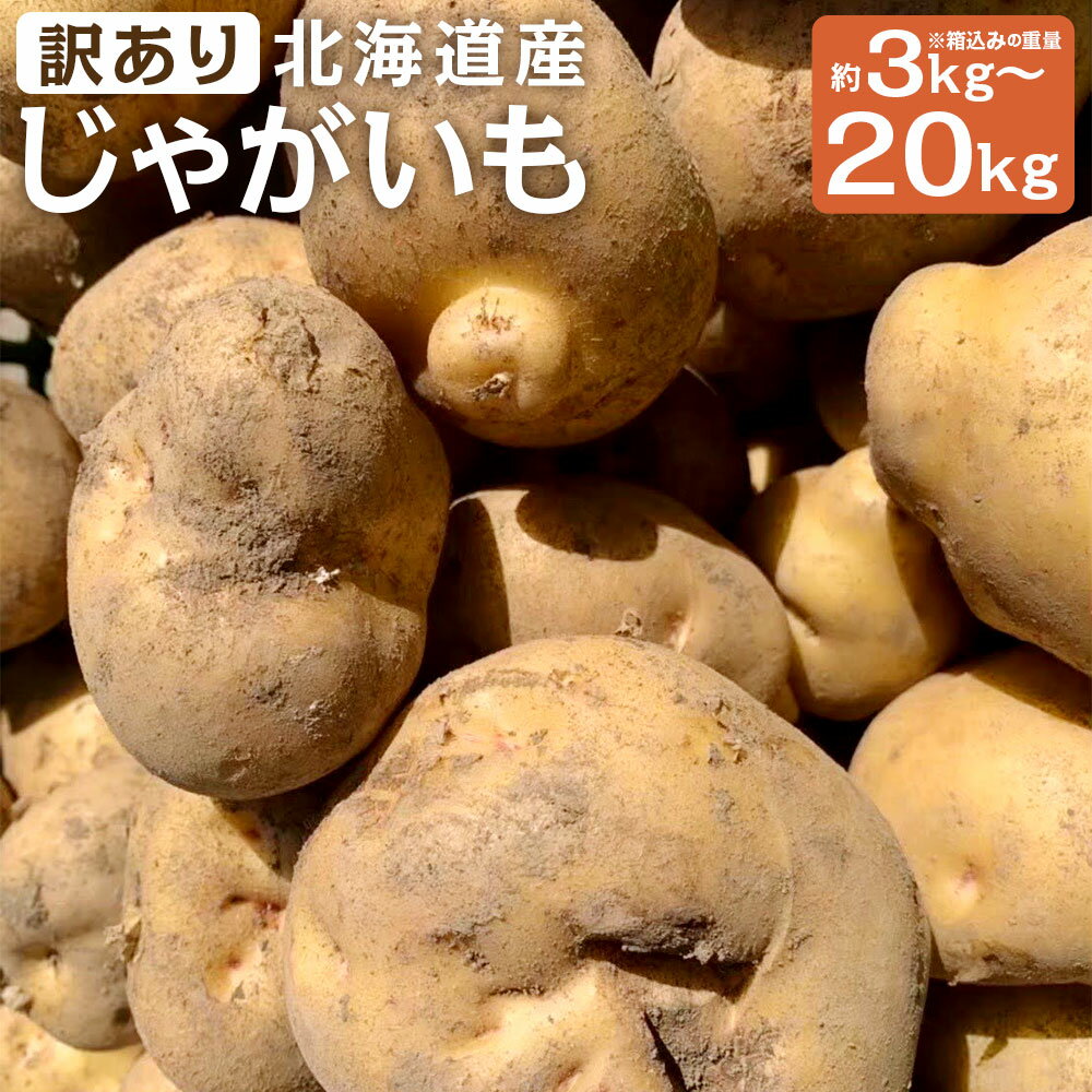 【訳あり】北海道産じゃがいも 男爵/キタアカリ 約3kg / 約5kg / 約10kg / 約20kg ＜ 選べる種類 ・ 選べる内容量 ＞ M～2Lサイズ混載 ご家庭用 山田農場 京極町産 北海道産 国産 送料無料 【2026年9月下旬-2027年1月上旬迄発送予定】
