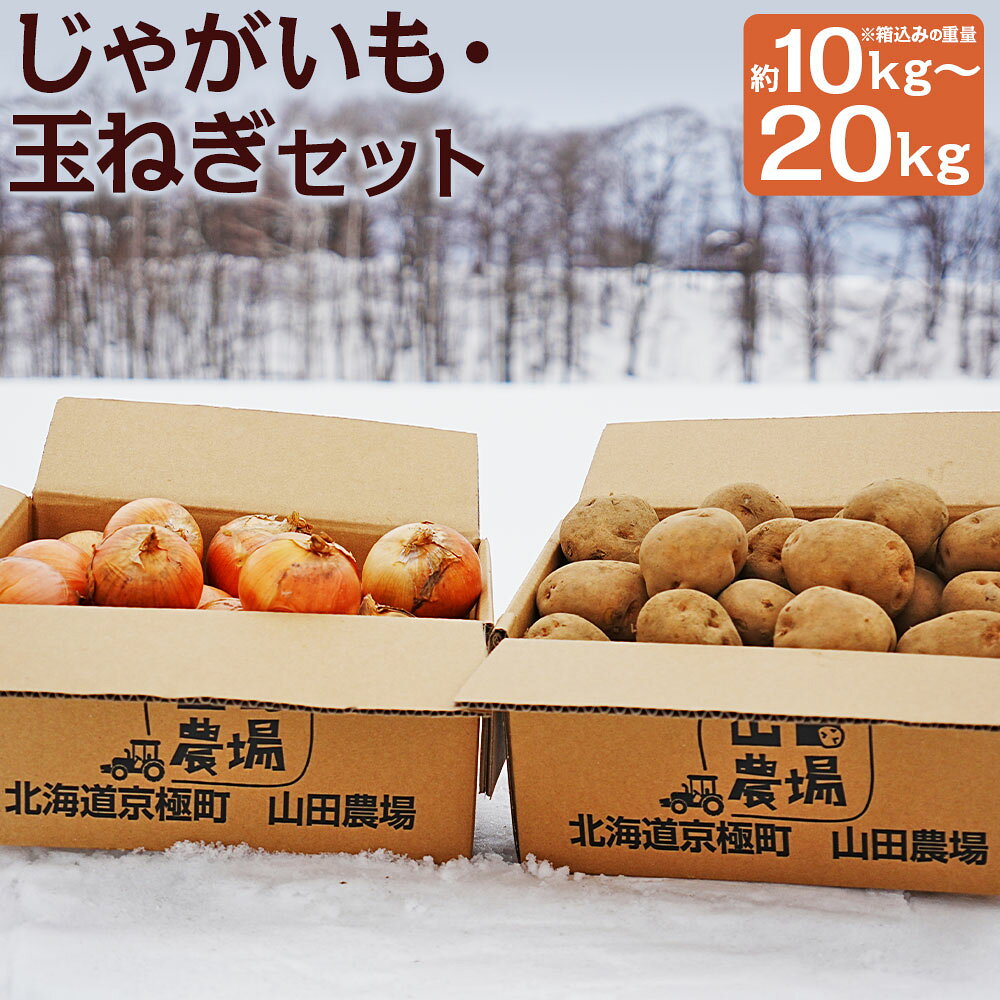 北海道産じゃがいも・玉ねぎセット 男爵/キタアカリ 約10kg/約20kg 9000円 ～ 15000円 9千円 ～ 1万5000円 選べるじゃがいもの種類 選べる M～2Lサイズ混載 野菜 山田農場 京極町産 北海道産 国産 送料無料 【2026年10月上旬-2027年1月上旬迄発送予定】