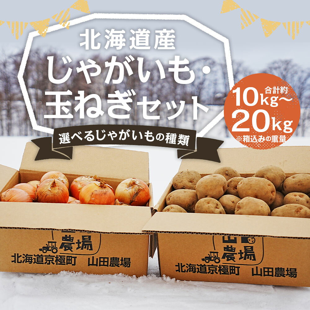 【ふるさと納税】北海道産じゃがいも・玉ねぎセット 男爵/キタアカリ 約10kg/約20kg 9000円 ～ 15000円 9千円 ～ 1万5000円 選べるじゃがいもの種類 選べる M～2Lサイズ混載 野菜 山田農場 京極町産 北海道産 国産 送料無料 【2026年10月上旬-2027年1月上旬迄発送予定】 - 画像2