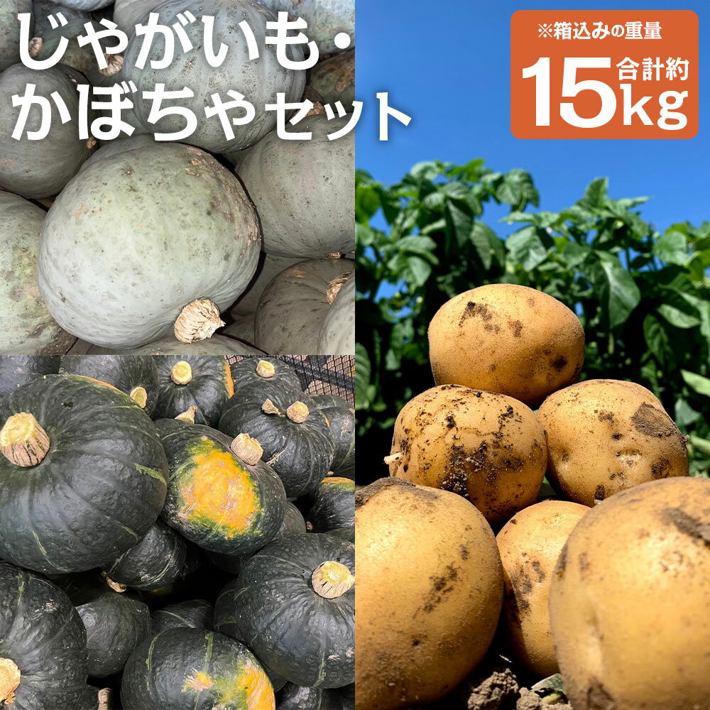 北海道産じゃがいも・かぼちゃセット ブラックのジョー/雪化粧 合計約15kg 選べるかぼちゃの種類 M～2Lサイズ混載 じゃがいも 南瓜 芋 野菜 山田農場 京極町産 北海道産 国産 送料無料 【2026年10月上旬-11月上旬迄発送予定】