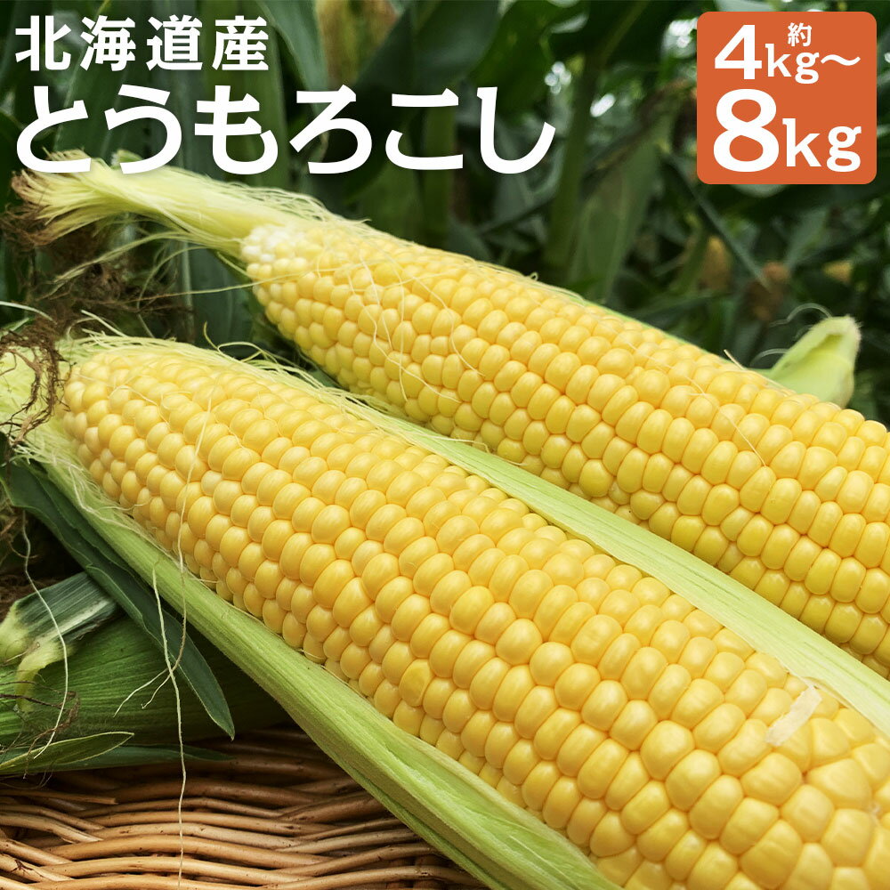 北海道産とうもろこし 恵味 2Lサイズ 約4kg/約8kg 選べる内容量 とうもろこし 野菜 山田農場 京極町産 北海道産 国産 冷蔵 送料無料【2026年8月上旬-8月下旬迄発送予定】