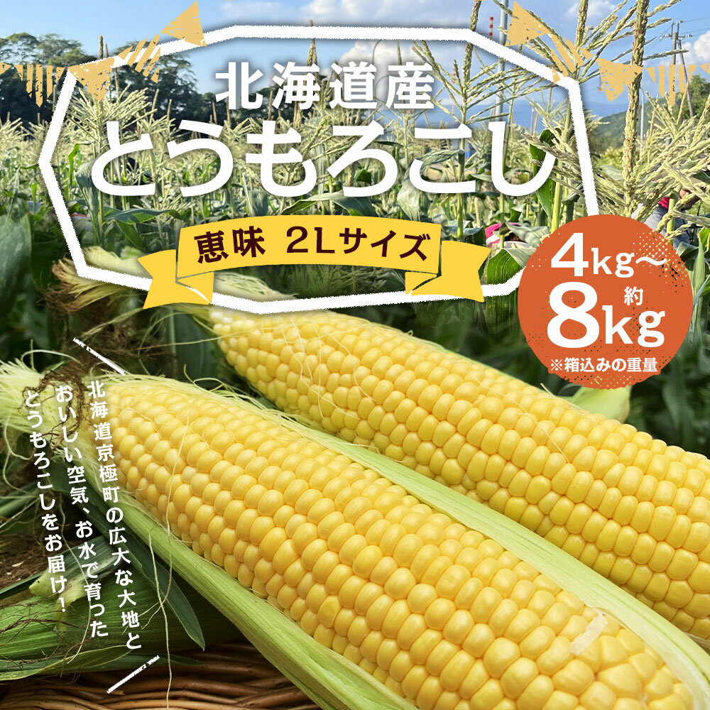 【ふるさと納税】北海道産とうもろこし 恵味 2Lサイズ 約4kg/約8kg 選べる内容量 とうもろこし 野菜 山田農場 京極町産 北海道産 国産 冷蔵 送料無料【2026年8月上旬-8月下旬迄発送予定】 - 画像2
