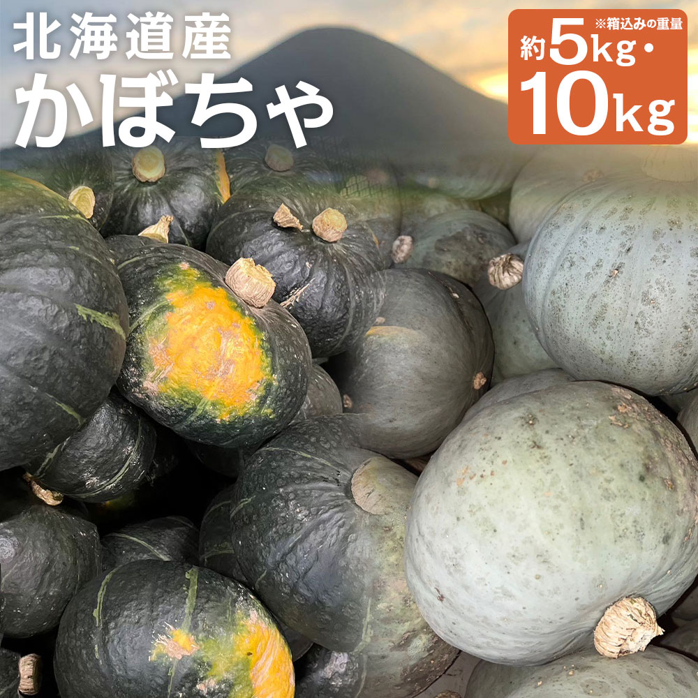 ＜選べる品種・内容量＞北海道産 かぼちゃ ブラックのジョー / 雪化粧 / セット 約5kg（2～5玉）×1箱 / 計約10kg（約5kg×2箱） 山田農場 カボチャ 南瓜 野菜 国産 北海道 京極町 送料無料 【2026年10月上旬-11月上旬迄発送予定】