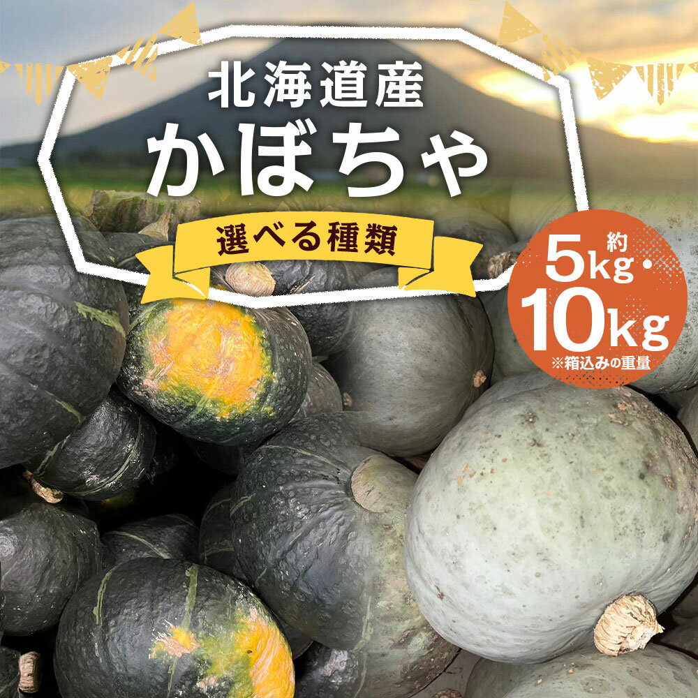 【ふるさと納税】＜選べる品種・内容量＞北海道産 かぼちゃ ブラックのジョー / 雪化粧 / セット 約5kg（2～5玉）×1箱 / 計約10kg（約5kg×2箱） 山田農場 カボチャ 南瓜 野菜 国産 北海道 京極町 送料無料 【2026年10月上旬-11月上旬迄発送予定】 - 画像2