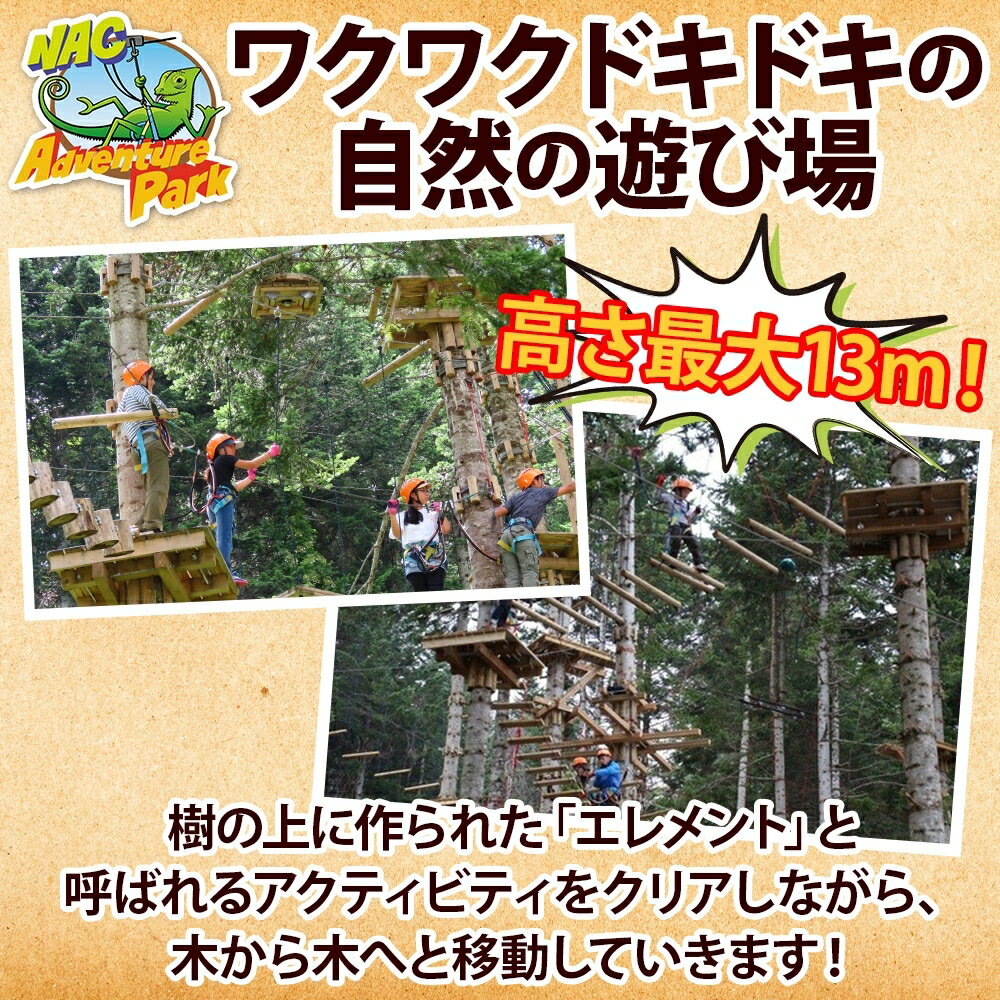 【ふるさと納税】 北海道 NAC アドベンチャー パーク 大人 1日券 2枚 アウトドア アクティビティ アトラクション 冒険 ジップライン ペア 体験チケット バンジージャンプ 子供 大人 夏季 冬季 観光 ひらふ ニセコ 野外 遊び 体験 野遊び アドベンチャーセンター 倶知安町 サムネイル2