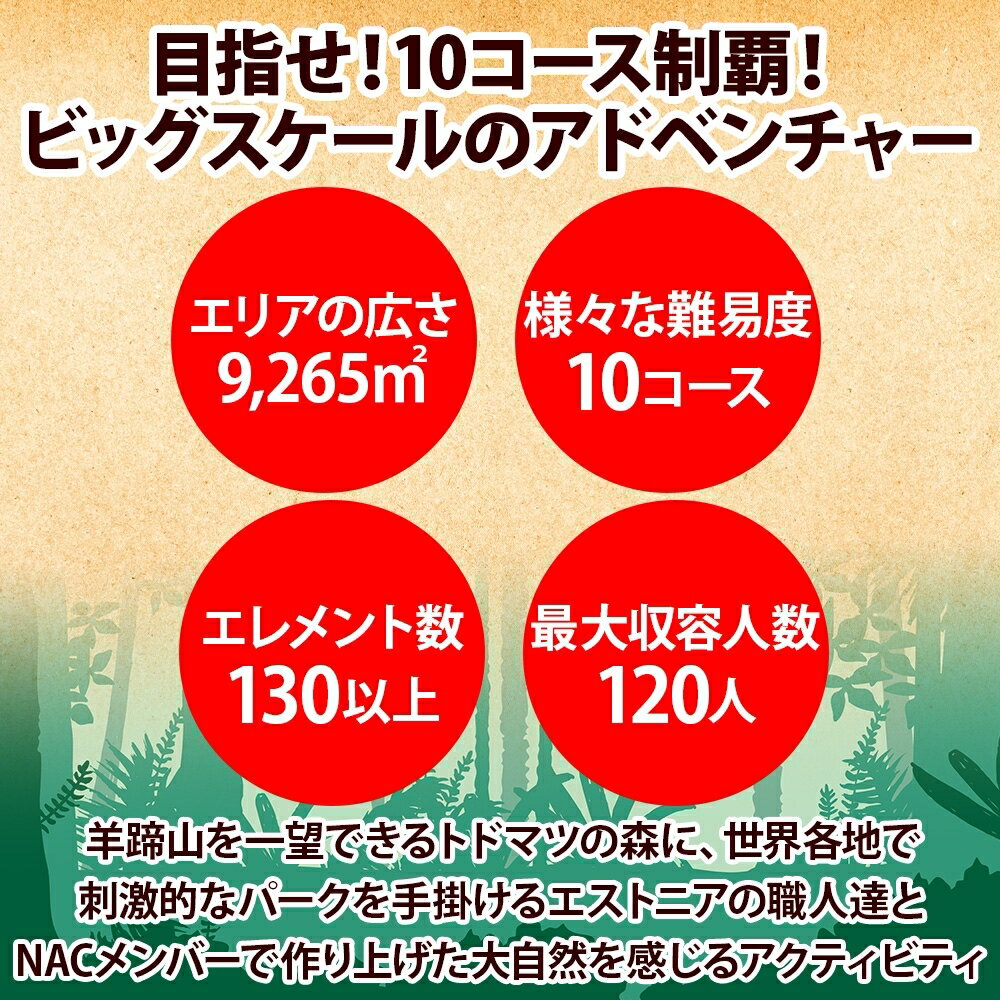 【ふるさと納税】 北海道 NAC アドベンチャー パーク 大人 1日券 2枚 アウトドア アクティビティ アトラクション 冒険 ジップライン ペア 体験チケット バンジージャンプ 子供 大人 夏季 冬季 観光 ひらふ ニセコ 野外 遊び 体験 野遊び アドベンチャーセンター 倶知安町 サムネイル3