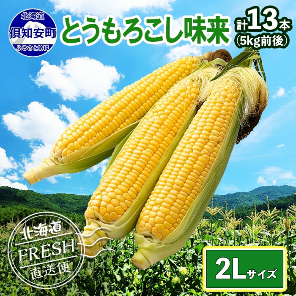 先行予約 2026年 北海道 とうもろこし 味来 みらい 5kg 2Lサイズ 大きめ 夏野菜 とうきび 旬 新鮮 野菜 もろこし トウモロコシ 高糖度 ギフト gift 産地直送 産直 お取り寄せ グルメ 詰め合わせ 送料無料 倶知安町　お届け：2026年8月中旬～9月上旬