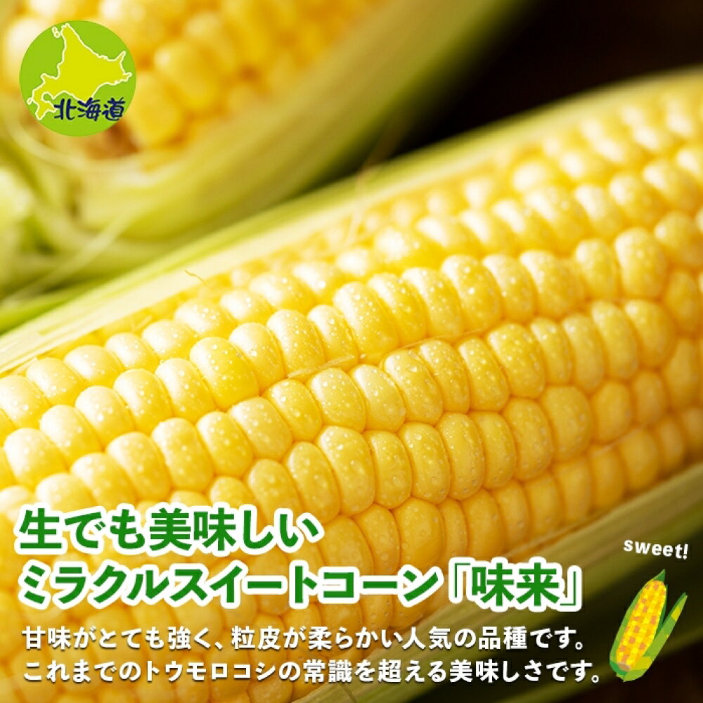【ふるさと納税】先行予約 2026年 北海道 とうもろこし 味来 みらい 5kg 2Lサイズ 大きめ 夏野菜 とうきび 旬 新鮮 野菜 もろこし トウモロコシ 高糖度 ギフト gift 産地直送 産直 お取り寄せ グルメ 詰め合わせ 送料無料 倶知安町　お届け：2026年8月中旬～9月上旬 - 画像2