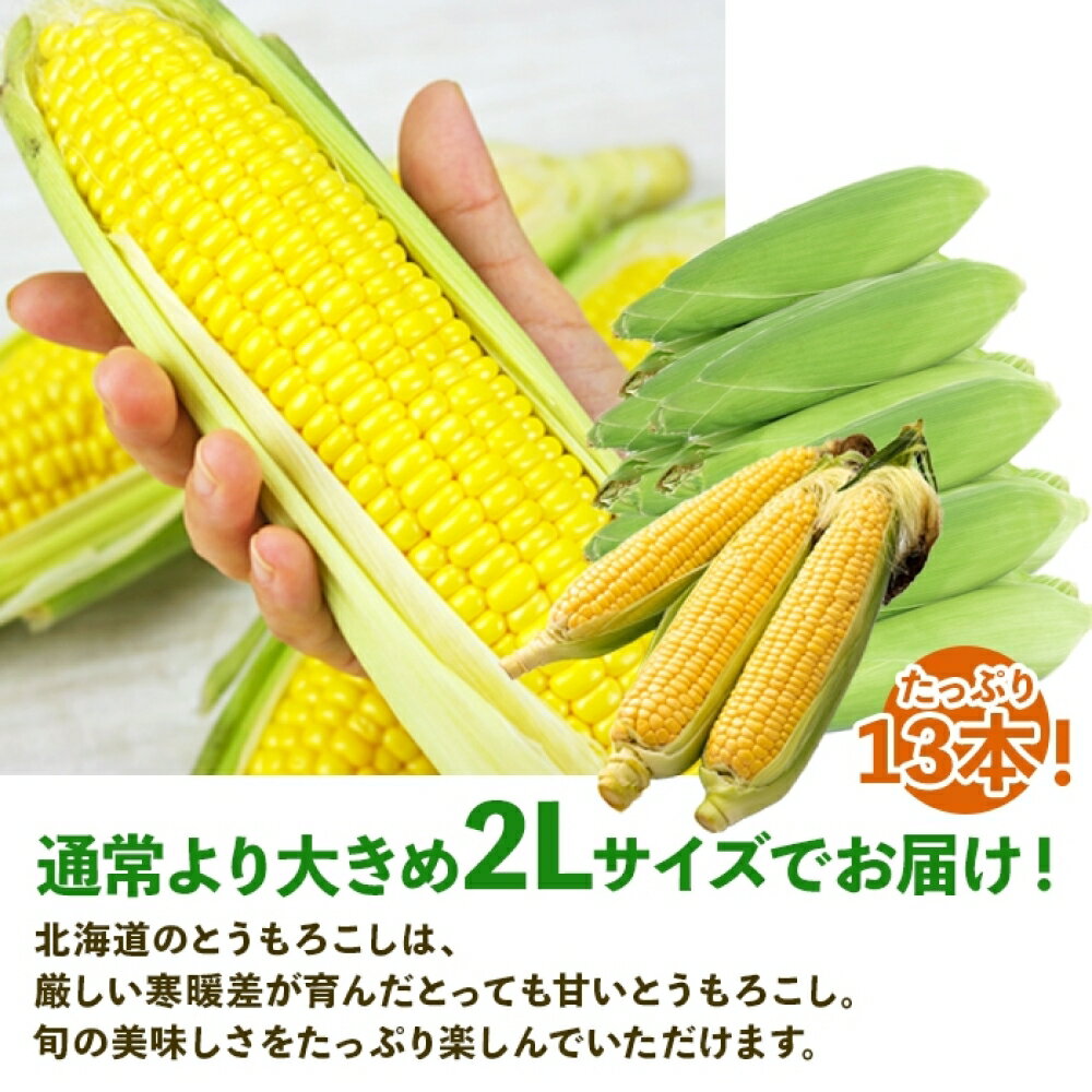 【ふるさと納税】先行予約 2026年 北海道 とうもろこし 味来 みらい 5kg 2Lサイズ 大きめ 夏野菜 とうきび 旬 新鮮 野菜 もろこし トウモロコシ 高糖度 ギフト gift 産地直送 産直 お取り寄せ グルメ 詰め合わせ 送料無料 倶知安町　お届け：2026年8月中旬～9月上旬 - 画像3