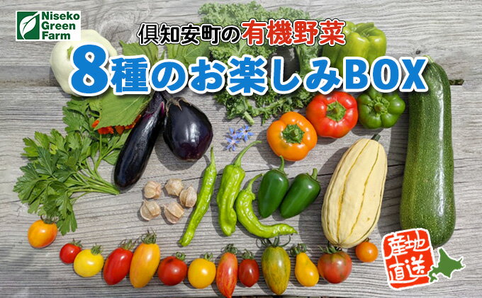 【ふるさと納税】【2026年発送】北海道産 有機 野菜BOX 8種類 詰め合わせ セット 採れたて 夏野菜 オーガニック 旬 新鮮 詰め合わせ お取り寄せ 産地直送 産直 野菜 農作物 ギフト 野菜セット 　お届け：2026年7月中旬～9月下旬まで - 画像2