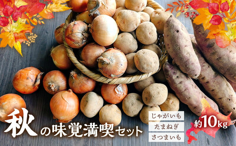 【ふるさと納税】【2026年発送】 北海道 オーガニック 秋の味覚 じゃがいも 玉ねぎ さつまいも 約10kg 札幌黄 キタアカリ 馬鈴薯 ポテト サツマイモ 有機野菜 JAS 産直 産地直送 　お届け：2026年9月下旬～11月下旬まで - 画像2