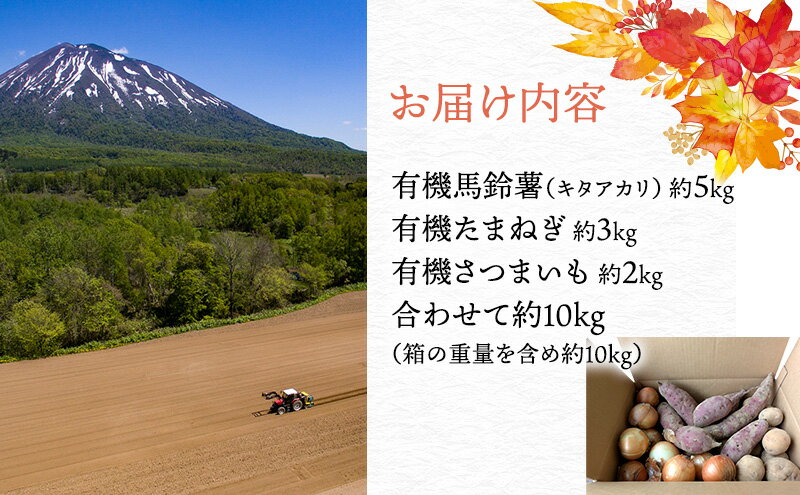 【ふるさと納税】【2026年発送】 北海道 オーガニック 秋の味覚 じゃがいも 玉ねぎ さつまいも 約10kg 札幌黄 キタアカリ 馬鈴薯 ポテト サツマイモ 有機野菜 JAS 産直 産地直送 　お届け：2026年9月下旬～11月下旬まで - 画像3