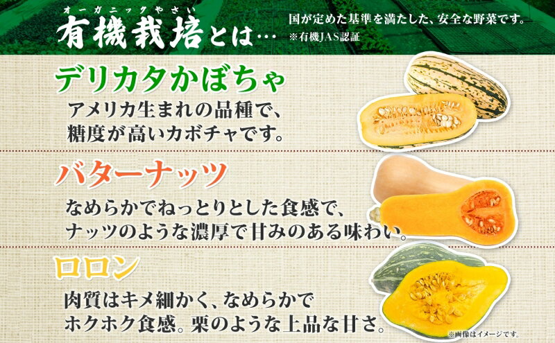 【ふるさと納税】【2026年発送】北海道 オーガニック 3種 の かぼちゃBOX 計約4kg カボチャ デリカタ ミニバターナッツ ロロン 南瓜 有機野菜 野菜 有機栽培 JAS 産直 産地直送 国産 ニセコグリーンファーム　お届け：2026年9月下旬～11月末まで - 画像3