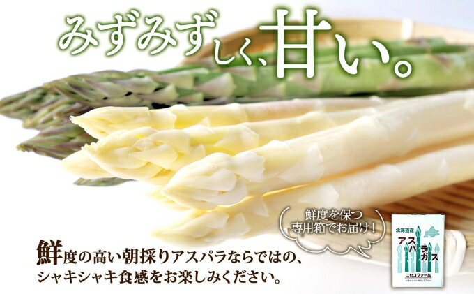 【ふるさと納税】【 2026年 発送 】 北海道産 アスパラガス グリーン ホワイト 2種 約 900g×2 計1.8kg S - L サイズ混合 食べ比べ アスパラ 旬 朝採り 新鮮 お取り寄せ 産地直送 産直 野菜 農作物 詰め合わせ 国産 しりべしや 　お届け：2026年5月中旬～6月上旬まで - 画像3