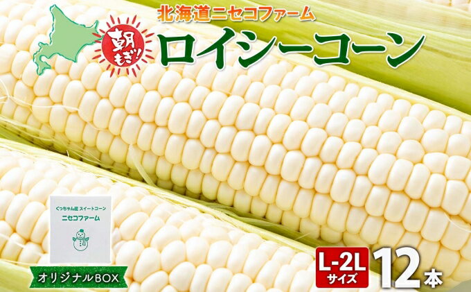 【ふるさと納税】【 2026年 発送 】 北海道産 とうもろこし 計12本 L-2L サイズ混合 ロイシーコーン 大きめ 旬 朝採り 新鮮 トウモロコシ 甘い 夏野菜 とうきび お取り寄せ 産地直送 野菜 しりべしや 送料無料 　お届け：2026年8月下旬～9月中旬まで - 画像2