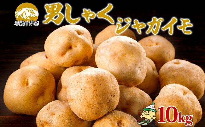 【ふるさと納税】北海道産 じゃがいも 男爵 約10kg Lサイズ ジャガイモ 男爵いも 男爵イモ 馬鈴薯 ポテト 常備野菜 根菜 農作物 産直 国産 JAようてい 送料無料 北海道 倶知安町 北海道のジャガイモ 食品 　お届け：2026年9月下旬～2027年2月下旬 - 画像2