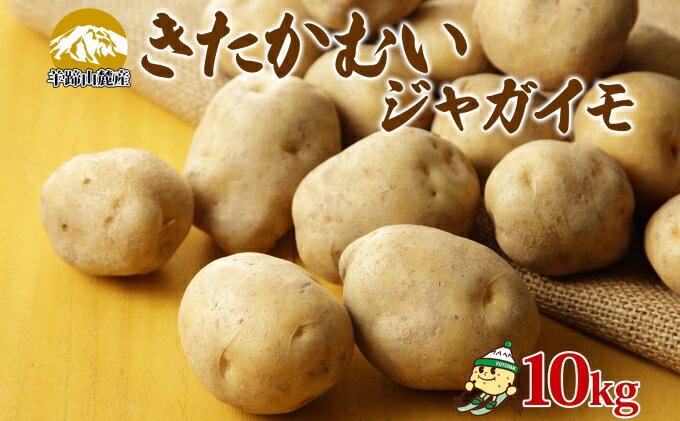 【ふるさと納税】北海道産 じゃがいも きたかむい 約10kg Lサイズ ジャガイモ キタカムイ 馬鈴薯 いも ポテト 常備野菜 根菜 産直 国産 日本産 JAようてい 送料無料 北海道 倶知安町 北海道のジャガイモ 食品 　お届け：2027年1月上旬～2月中旬 - 画像2