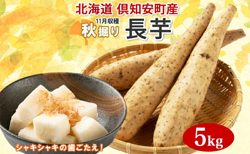 【ふるさと納税】【 2026年 出荷 】 北海道 倶知安町産 長芋 2L×約6本 計5kg 秋堀り 芋 ながいも とろろ 新鮮 フレッシュ 野菜 農作物 産直 山芋 麦とろ 山かけ おつまみ グリーンアースファーム 送料無料 北海道 倶知安町 新鮮野菜 　お届け：2026年11月中旬～11月末頃 - 画像2
