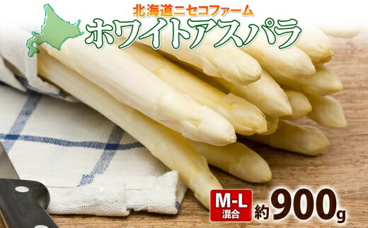 【ふるさと納税】【 2026年 発送 】 北海道産 アスパラガス ホワイト 約 900g L - 2L サイズ 混合 アスパラ 旬 朝採り 新鮮 お取り寄せ 産地直送 産直 野菜 農作物 詰め合わせ 国産 北海道 倶知安町 　お届け：2026年5月中旬～6月上旬まで - 画像2