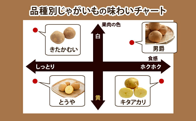 【ふるさと納税】【 2026年 出荷 先行予約 】 北海道 倶知安 産 じゃがいも 男爵 L サイズ 10kg 馬鈴薯 いも 芋 グリーンアースファーム 農家 直送 野菜 産地直送　お届け：2026年9月中旬～2027年1月末まで - 画像3