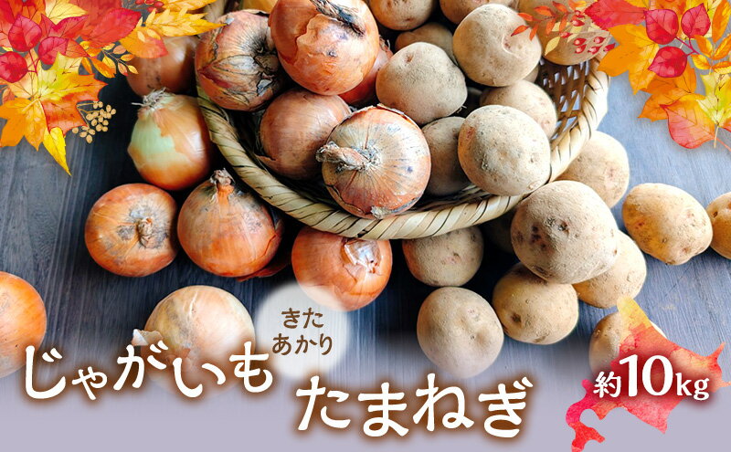 【ふるさと納税】【2026年発送】 オーガニック じゃがたま BOX 約10kg 有機栽培 じゃがいも 玉ねぎ 北海道 倶知安 ニセコグリーンファーム　お届け：2026年9月下旬～11月下旬 - 画像2