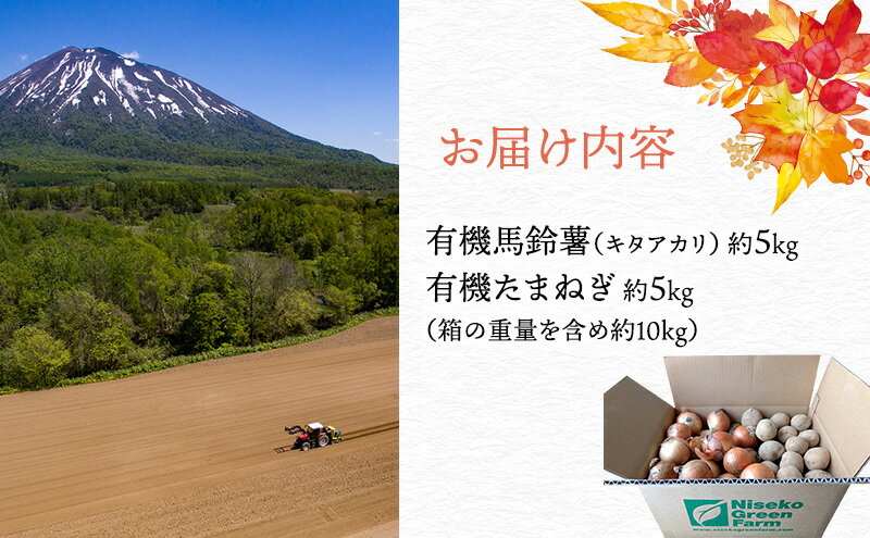 【ふるさと納税】【2026年発送】 オーガニック じゃがたま BOX 約10kg 有機栽培 じゃがいも 玉ねぎ 北海道 倶知安 ニセコグリーンファーム　お届け：2026年9月下旬～11月下旬 - 画像3