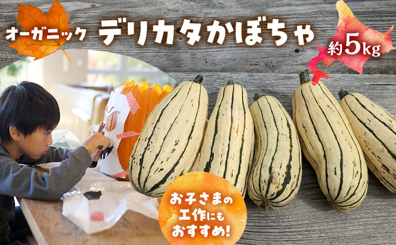 【ふるさと納税】【2026年発送】 オーガニック かぼちゃ デリカタ BOX 約5kg 有機栽培 南瓜 カボチャ 北海道 倶知安 ニセコグリーンファーム　お届け：2026年9月下旬～11月下旬 - 画像2