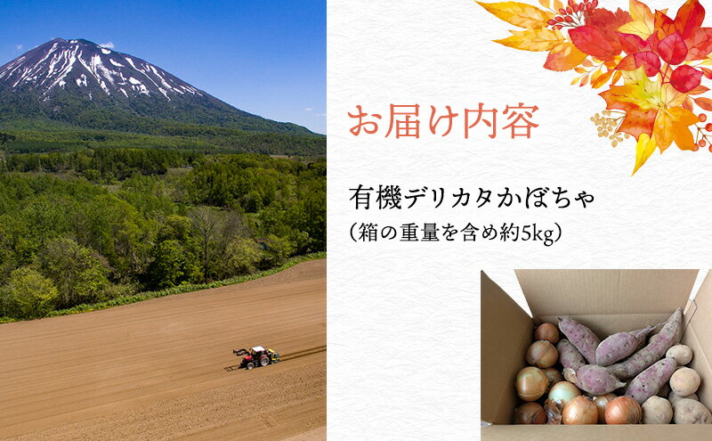 【ふるさと納税】【2026年発送】 オーガニック かぼちゃ デリカタ BOX 約5kg 有機栽培 南瓜 カボチャ 北海道 倶知安 ニセコグリーンファーム　お届け：2026年9月下旬～11月下旬 - 画像3