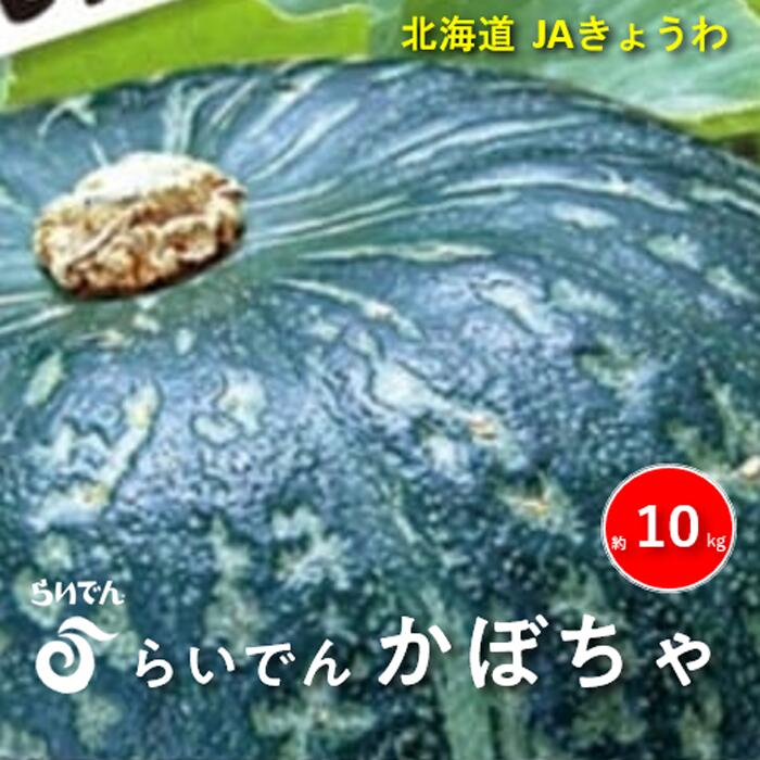 2026年 8月 出荷 先行予約 らいでん 南瓜 ダークホース 6玉 約 10kg かぼちゃ パンプキン 北海道 共和町 産地直送 JAきょうわ 野菜 　お届け：2026年8月下旬〜9月下旬迄