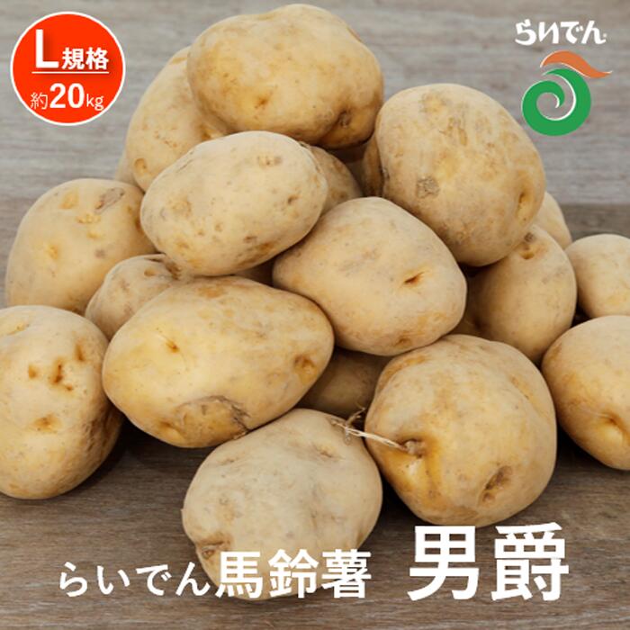 2026年 8月 出荷 先行予約 らいでん 馬鈴薯 男爵 L 規格 約 20kg じゃがいも イモ 芋 ポテト 北海道 共和町 産地直送 JAきょうわ 野菜 根菜 　お届け：2026年8月下旬〜2026年9月下旬まで