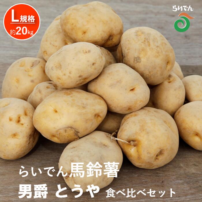 2026年 8月 出荷 先行予約 らいでん 馬鈴薯 食べ比べ 2種 セット 男爵 とうや L 規格 約 20kg じゃがいも 詰合せ イモ 芋 ポテト 北海道 共和町 産地直送 JAきょうわ 野菜 根菜 　お届け：2026年8月下旬〜2026年9月下旬まで