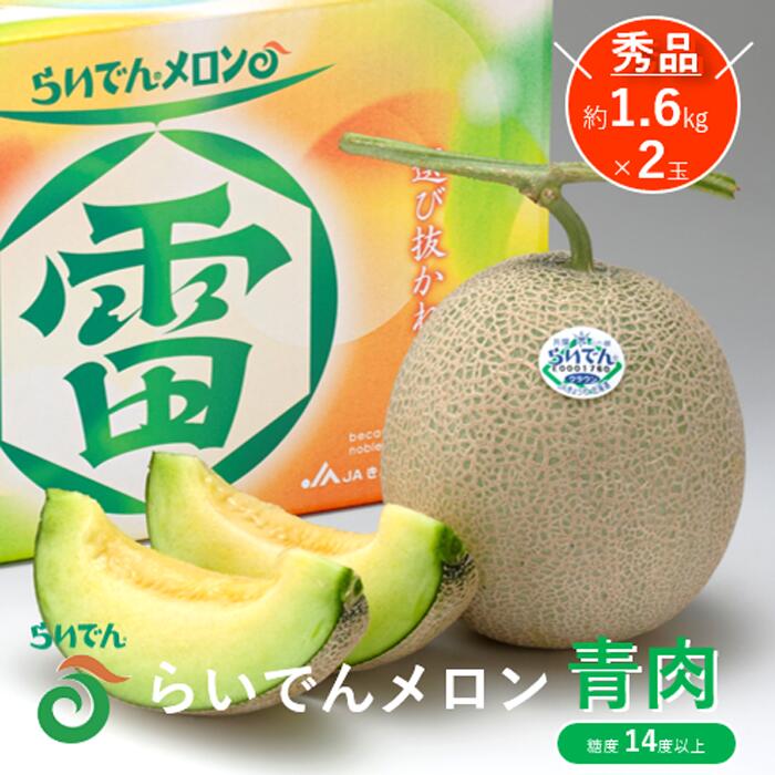 【 2026年発送 先行予約 】メロン 北海道 共和町産 らいでんメロン 青肉 2玉 セット フルーツ 果物 産地直送 JAきょうわ 果実 メロン青肉 　お届け：2026年8月下旬〜9月上旬まで