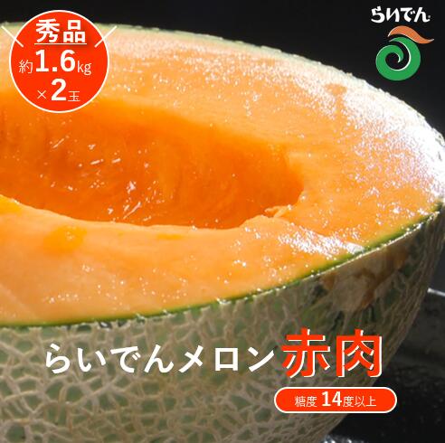 【 2026年発送 先行予約 】メロン 北海道 共和町産 らいでんメロン 赤肉 2玉 セット フルーツ 果物 産地直送 JAきょうわ 果実 赤肉メロン 　お届け予定：2026年8月下旬〜9月上旬まで