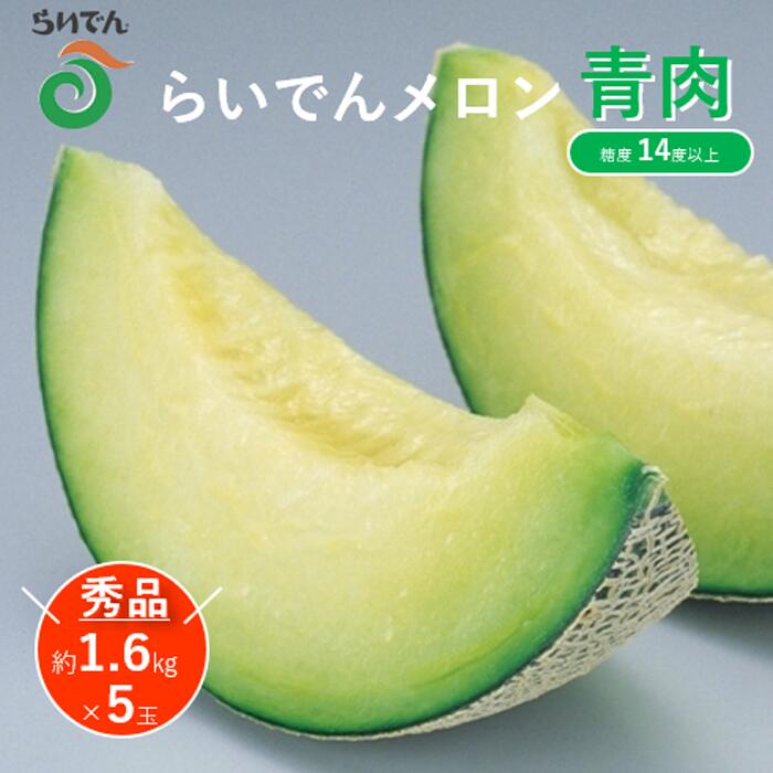 【 2026年発送 先行予約 】メロン 北海道 共和町産 らいでんメロン 青肉 5玉 セット フルーツ 果物 産地直送 JAきょうわ 果実 メロン青肉 　お届け：2026年8月下旬〜9月上旬まで