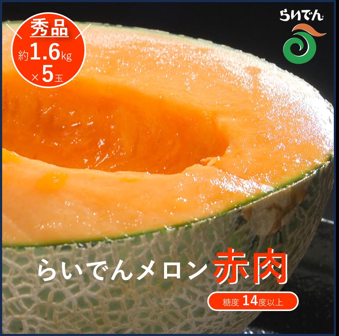 【 2026年発送 先行予約 】メロン 北海道 共和町産 らいでんメロン 赤肉 5玉 セット フルーツ 果物 産地直送 JAきょうわ 果実 メロン赤肉 　お届け：2026年8月下旬〜9月上旬まで