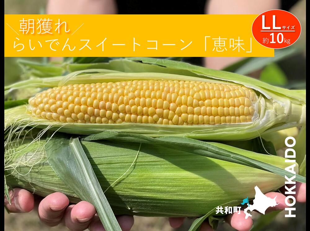 【ふるさと納税】2026年 7月 出荷 先行予約 とうもろこし らいでん スイートコーン 恵味 LL 規格 約10kg 北海道 共和町 産地直送 JAきょうわ コーン めぐみ 黄色 とうきび トウモロコシ 野菜 旬の野菜 新鮮野菜 北海道産 　お届け：2026年7月下旬〜8月上旬迄 - 画像2