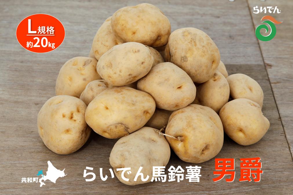 【ふるさと納税】2026年 8月 出荷 先行予約 らいでん 馬鈴薯 男爵 L 規格 約 20kg じゃがいも イモ 芋 ポテト 北海道 共和町 産地直送 JAきょうわ 野菜 根菜 　お届け：2026年8月下旬〜2026年9月下旬まで - 画像2