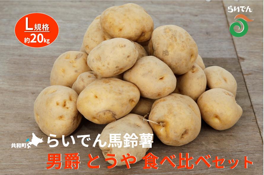 【ふるさと納税】2026年 8月 出荷 先行予約 らいでん 馬鈴薯 食べ比べ 2種 セット 男爵 とうや L 規格 約 20kg じゃがいも 詰合せ イモ 芋 ポテト 北海道 共和町 産地直送 JAきょうわ 野菜 根菜 　お届け：2026年8月下旬〜2026年9月下旬まで - 画像2