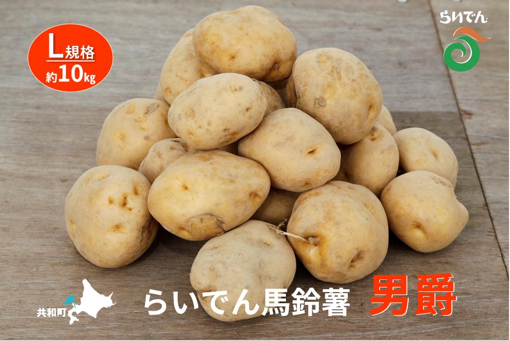 【ふるさと納税】2026年 8月 出荷 先行予約 らいでん 馬鈴薯 男爵 L 規格 約10kg じゃがいも イモ 芋 ポテト 北海道 共和町 産地直送 JAきょうわ 野菜 　お届け：2026年8月下旬〜9月下旬 - 画像2