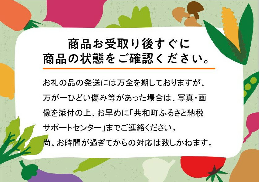 【ふるさと納税】【 2026年発送 先行予約 】メロン 北海道 共和町産 らいでんメロン 青肉 2玉 セット フルーツ 果物 産地直送 JAきょうわ 果実 メロン青肉 　お届け：2026年8月下旬〜9月上旬まで サムネイル3