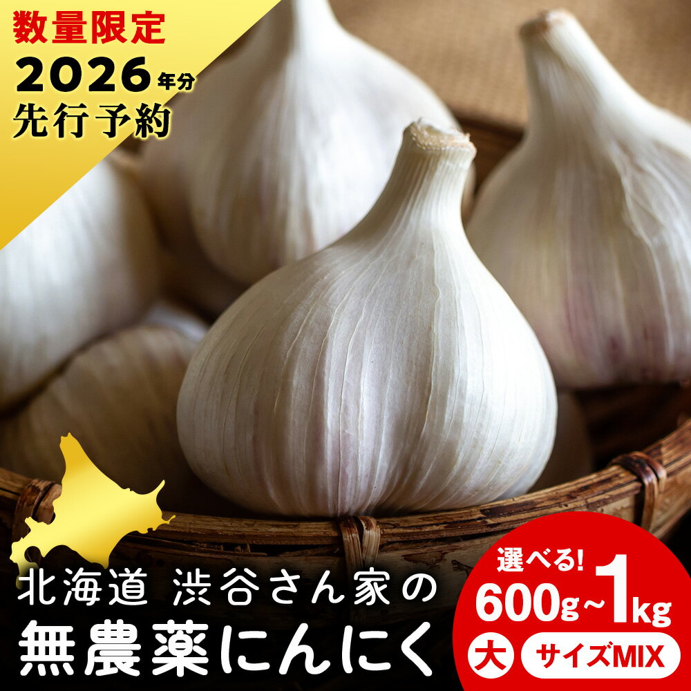 2026年分予約【数量限定】渋谷さん家の「無農薬 にんにく」 選べる600g〜1kg 大・中・小サイズ北海道ふるさと納税 積丹町 ふるさと納税 北海道 野菜 無農薬栽培 にんにく 大蒜 無農薬野菜 通販 ギフト 贈答品 贈り物