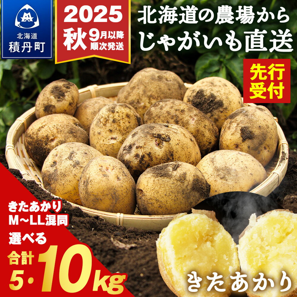 じゃがいも きたあかり 選べる5kg・10kg 北海道 別名「栗じゃが」甘くておいしい ジャガイモ 芋 いも 秋野菜 季節の野菜 直送農場 北海道産 サイズ混同 野菜