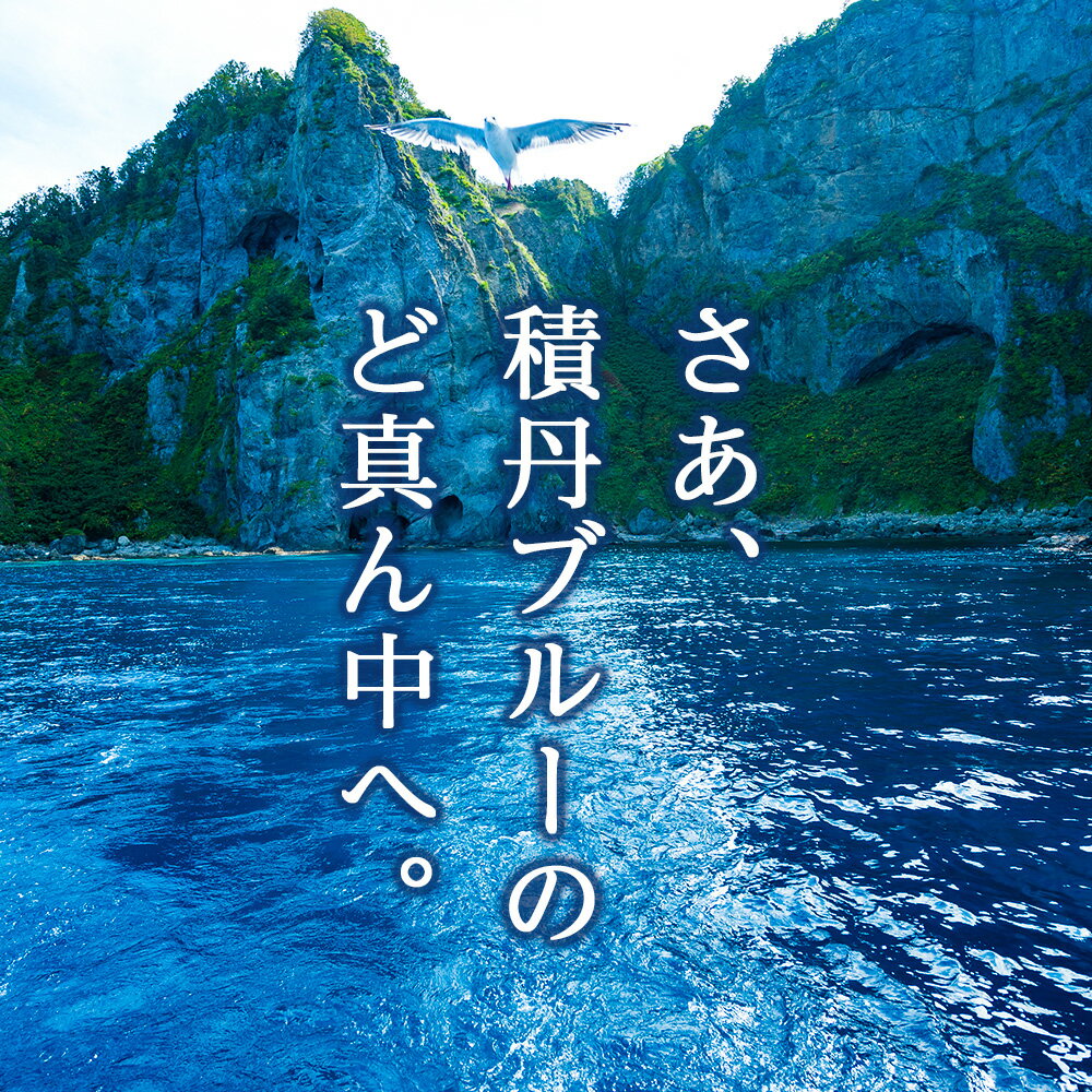 【ふるさと納税】SUP 体験 2名 北海道 海底公園 ガイド付き ドローン 空撮写真サップ パドルボード 体験 ツアー スポーツ 北海道ふるさと納税 積丹町 ふるさと納税 サムネイル2