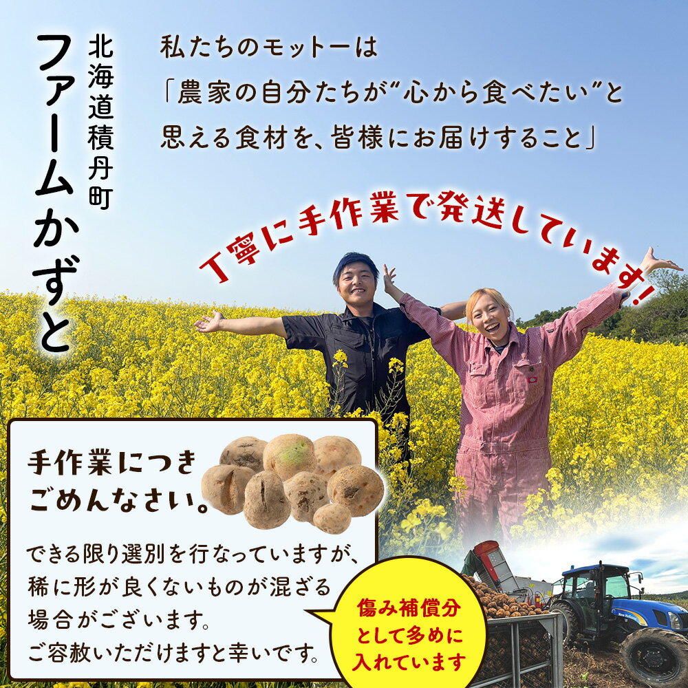 【ふるさと納税】【2026年 秋 発送予約】じゃがいも きたあかり 選べる5kg・10kg 北海道 別名「栗じゃが」甘くておいしい ジャガイモ 芋 いも 秋野菜 季節の野菜 直送農場 北海道産 サイズ混同 野菜 - 画像3