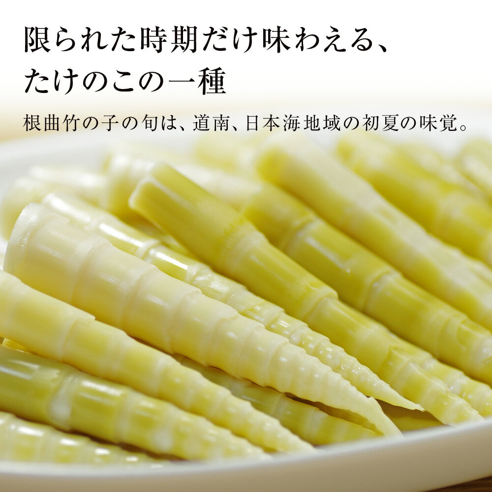 【ふるさと納税】「先行予約開始！」珍味積丹岳根曲竹の子選べる1kg〜2kg 1パック500g北海道ふるさと納税 積丹町 ふるさと納税 北海道 山菜 根曲がり竹 北海道産 タケノコ 筍 竹の子 - 画像2