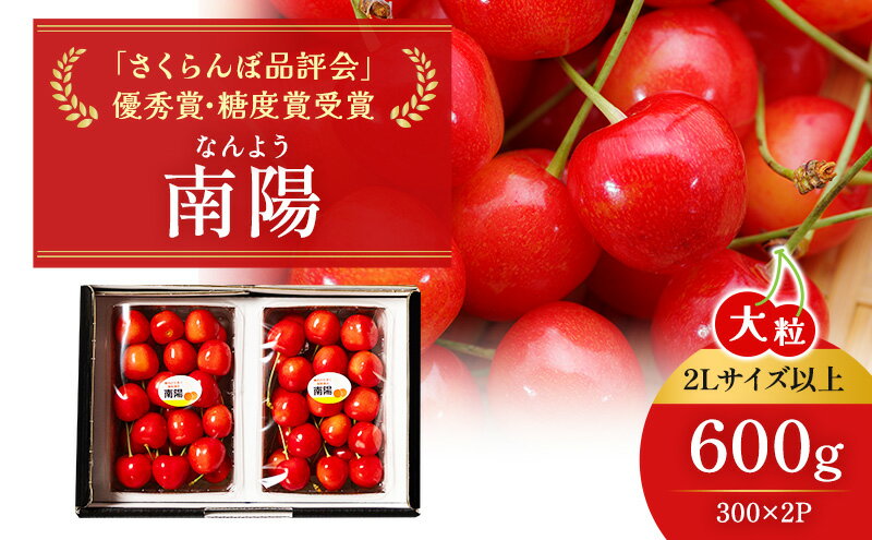 【ふるさと納税】先行受付 北海道 仁木町産 ジャンボサイズ さくらんぼ 【 南陽 】 2Lサイズ以上 300g×2パック 計600g　サクランボ チェリー フルーツ 果物 果物類 仁木町 仁木 [嶋田茂農園匠]　お届け：2026年7月上旬～7月末日まで サムネイル2
