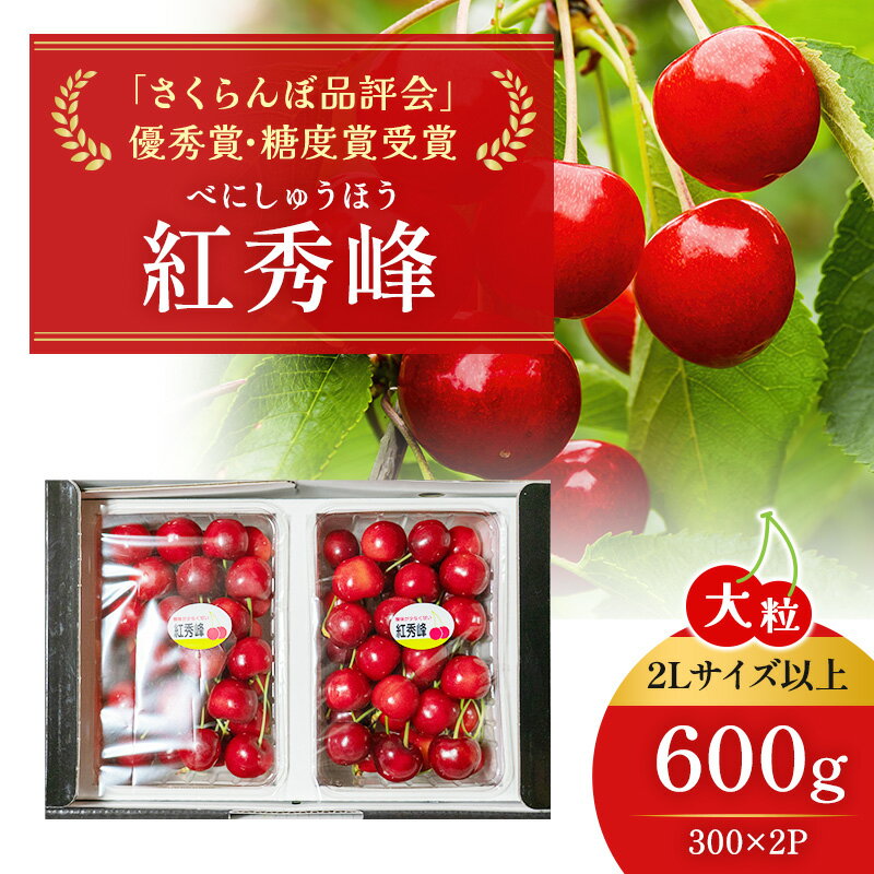 先行受付 北海道 仁木町産 ジャンボサイズ さくらんぼ 【 紅秀峰 】2Lサイズ以上 300g×2パック 計600g 　サクランボ チェリー フルーツ 果物 果物類 仁木町 仁木 [嶋田茂農園匠]　お届け：2026年7月上旬～7月末日まで
