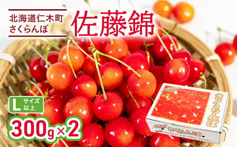 【ふるさと納税】先行受付 さくらんぼ 佐藤錦 300g×2P 計600g Lサイズ 北海道 仁木町　国産 旬のフルーツ 旬の果物 デザートサクランボ チェリー フルーツ 果物 果物類 仁木 [カムナビファーム]　お届け：2026年6月末～7月中旬 サムネイル2